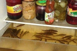 Những phát hiện bất ngờ bên trong tủ lạnh khiến dân tình không thể nhịn cười