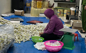 Phát hiện cơ sở sản xuất bánh gạo giả mạo nhãn hiệu Vetrue của Nhật Bản