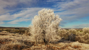 Sương giá phủ trắng ngọn đồi ở Bắc Ireland 