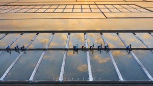 Đi Vũng Tàu nhiều nhưng không phải ai cũng biết cánh đồng đẹp đến say lòng này