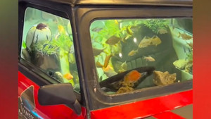 Biến ô tô cũ thành thủy cung tuyệt đẹp ở Thái Lan