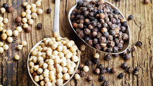 Giá tiêu hôm nay 16/12: Giảm ngày thứ ba liên tiếp, cao nhất 60.000 đồng/kg