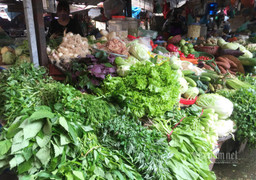 Hà Nội: Giá rau xanh tăng gấp đôi, đắt ngang thịt cá