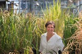 Giáo sư Mỹ khuyên người trẻ Việt hướng đi thành công từ lĩnh vực nông nghiệp