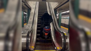 Người đàn ông lập dị mang xe máy lên thang cuốn ở Mỹ