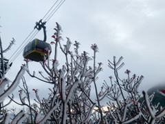 Băng giá phủ trắng trên cung đường lên đỉnh Fansipan