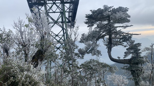 Nhiệt độ giảm sâu, băng giá và sương muối phủ trắng đỉnh Fansipan