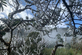 Fansipan -8 độ C, nhiệt độ xuống thấp nhất trong năm