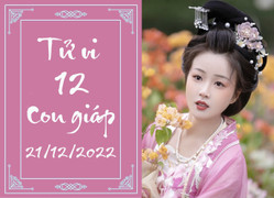 Tử vi vui 12 con giáp hôm nay thứ Tư ngày 21/12: Dậu khởi sắc, Tỵ trắc trở