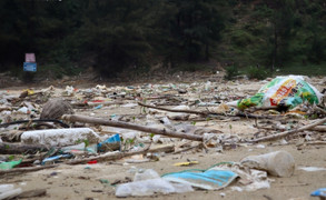 Chống rác thải nhựa: Cần thay đổi nhận thức từ người dân đến doanh nghiệp