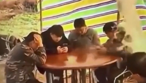 Khách ướt như chuột lột vì sự nhiệt tình của chủ quán