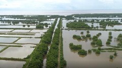 Gần 400 ha đất bị bỏ quên ở Hải Phòng: Xác định loạt sai phạm của chủ đầu tư