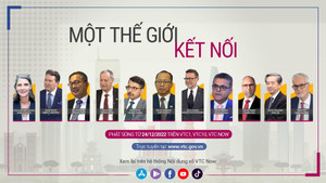 Đại sứ nhiều nước lần đầu xuất hiện trên sóng truyền hình trước thềm năm mới