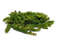 Giá tiêu hôm nay 24/12: Giá trong nước đi ngang, cao nhất 59.500 đồng/kg