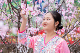 Lễ hội hoa tớ dày Mù Cang Chải thu hút du khách thập phương