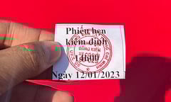 Đăng kiểm ô tô tại TP.HCM quá tải, tài xế được hẹn hơn nửa tháng mới tới lượt