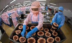 Giải ngân vốn FDI tăng trưởng 13,5%