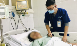 Một phụ nữ nhập viện cấp cứu sau khi ăn gan cá nóc