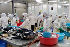 Xuất khẩu nông, lâm, thủy sản lập kỷ lục mới