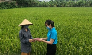 Ra tận đồng để vận động nông dân tham gia BHXH tự nguyện