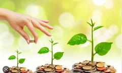 Chuyên gia chỉ cách xuống tiền đầu tư trong năm 2023