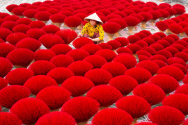 Làng nhang gần 100 tuổi ở TP.HCM rực rỡ sắc màu vào vụ Tết