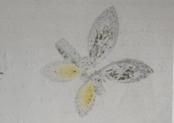 Truy tìm nhiều nữ trang trong vụ trộm biệt thự ca sĩ Hồ Ngọc Hà