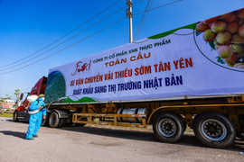 Dấu ấn xuất khẩu trên 700 tỷ USD tạo động lực mới cho thương mại 2023