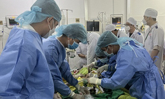 Cứu người phụ nữ sốt xuất huyết nặng biến chứng cơ tim, ngưng tuần hoàn