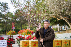 Chợ hoa cho người 'cõi âm' tấp nập ngày giáp Tết