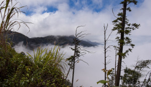 Đi săn mây ở miền Tây xứ Nghệ