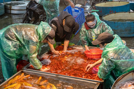 Chợ cá lớn nhất Thủ đô nhộn nhịp trước ngày tiễn ông Công ông Táo về trời