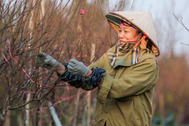 Dự báo thời tiết hôm nay ngày 13/1: Bắc Bộ tăng nhiệt, trời nắng ráo