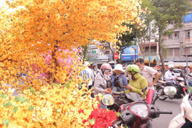 Phố bán đồ Tết ở TP.HCM rực rỡ sắc xuân, người mua kẻ bán tấp nập