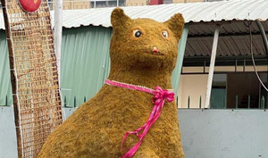 Muôn kiểu linh vật mèo 'khác thường' chào xuân Quý Mão 2023