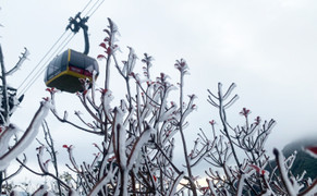 Dự báo thời tiết hôm nay ngày 18/1: Bắc Bộ rét đậm, nhiều nơi mưa nhỏ