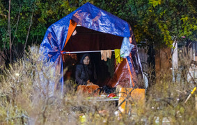 Tiểu thương trùm chăn dưới trời rét buốt, thấp thỏm trông cây cảnh qua đêm