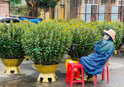 Dân Huế đội mưa rét bán hoa Tết nhưng vắng bóng người mua