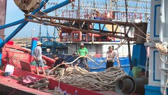 Ngư dân Phú Yên, Khánh Hòa đón Tết giữa trùng khơi