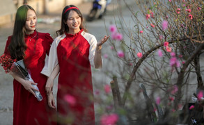 Đề xuất 2 phương án nghỉ Tết Nguyên đán 2024 kéo dài 7 ngày