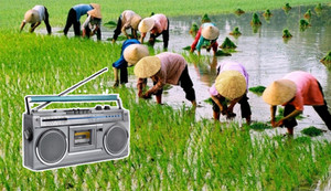 Đây là tên tỉnh nào ở Việt Nam?