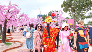 Dòng người đổ về đường hoa xuân Đà Nẵng chụp ảnh ngày 30 Tết