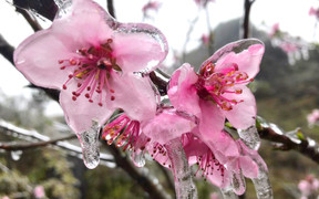 Dự báo thời tiết mùng 3 Tết: Bắc Bộ rét đậm rét hại, có nơi dưới 2 độ C