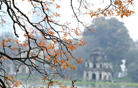 Dự báo thời tiết hôm nay mùng 4 Tết: Bắc Bộ hửng nắng, Trung Bộ mưa to