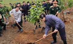 Thủ tướng kêu gọi Nhân dân tham gia trồng cây ngay từ những ngày đầu xuân