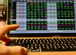 Khai xuân tưng bừng, VN-Index tăng điểm