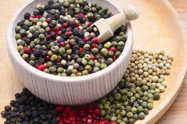 Giá tiêu hôm nay 28/1: Đồng loạt giảm 500 đồng/kg