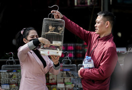 Du khách đến ngôi đền thiêng ở Thanh Hoá phóng sinh chim cá, xin lộc đầu năm