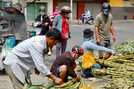 TP.HCM: Mía thân vàng đắt khách ngày cúng vía Ngọc Hoàng