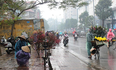 Thời tiết ngày 31/1: Bắc Bộ nắng hanh trước khi bước vào đợt mưa phùn kéo dài
